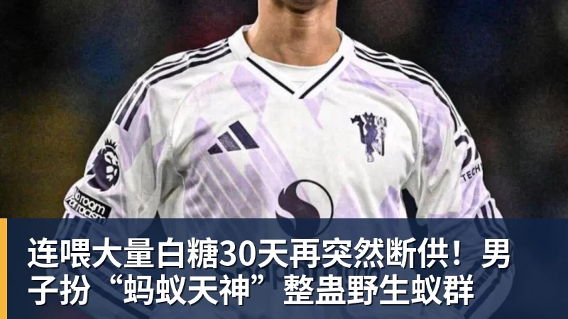 连喂大量白糖30天再突然断供！男子扮“蚂蚁天神”整蛊野生蚁群
