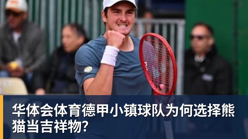 华体会体育德甲小镇球队为何选择熊猫当吉祥物？